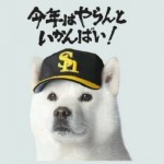 ソフトバンクが発表した低価格プランはやっぱり割高
